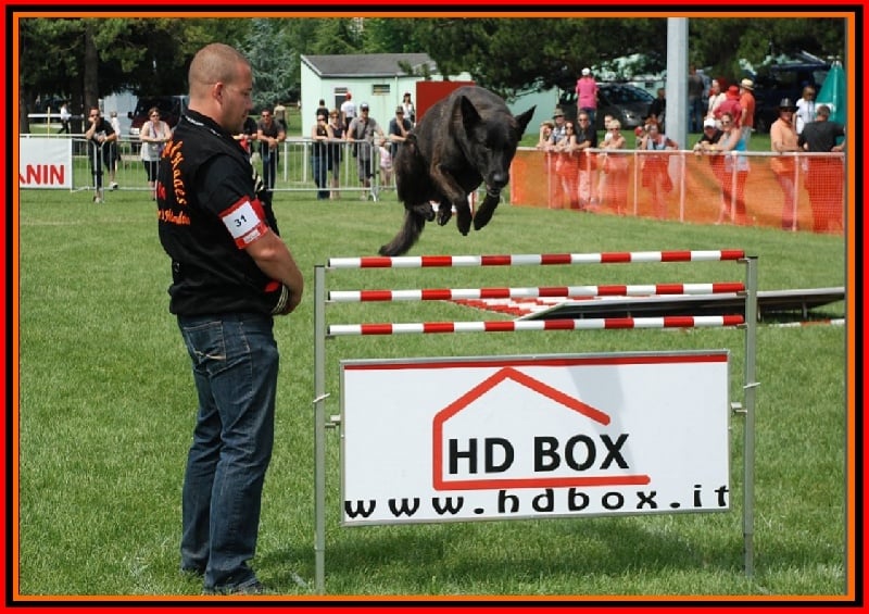 Publication : De La Horde D'hades Auteur : La Horde d'Hades