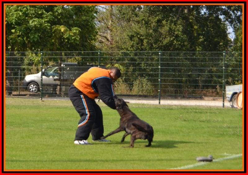 Publication : De La Horde D'hades Auteur : La Horde d'Hades