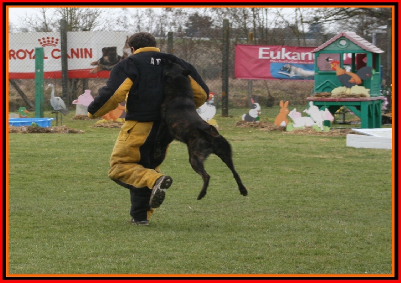 Publication : De La Horde D'hades Auteur : La Horde d'Hades