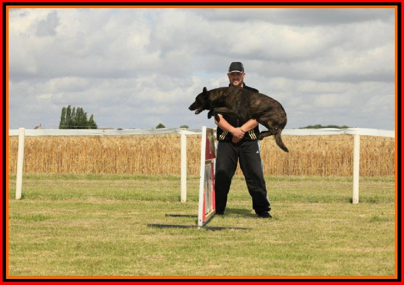 Publication : De La Horde D'hades Auteur : La Horde d'Hades