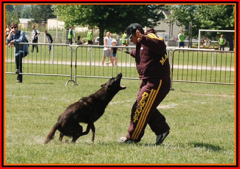 Publication : De La Horde D'hades Auteur : La Horde d'Hades