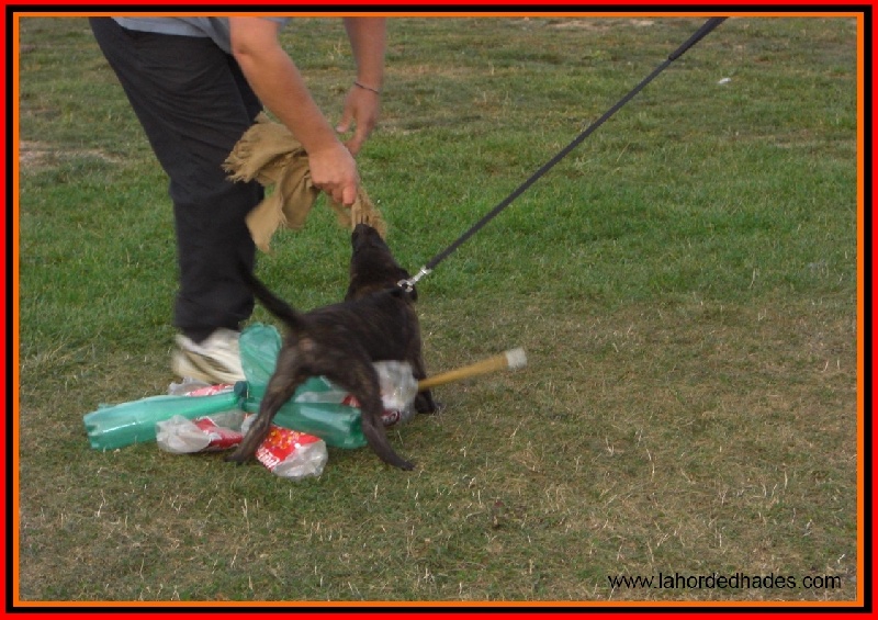 Publication : De La Horde D'hades Auteur : La Horde d'Hades