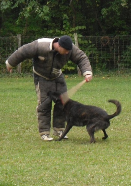 Erthon von carolus magnus - 91.75/100