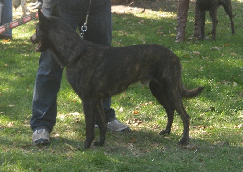 Erthon von carolus magnus - 2 ème EXC