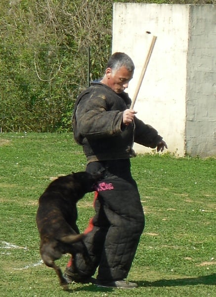 Erthon von carolus magnus - 156/200