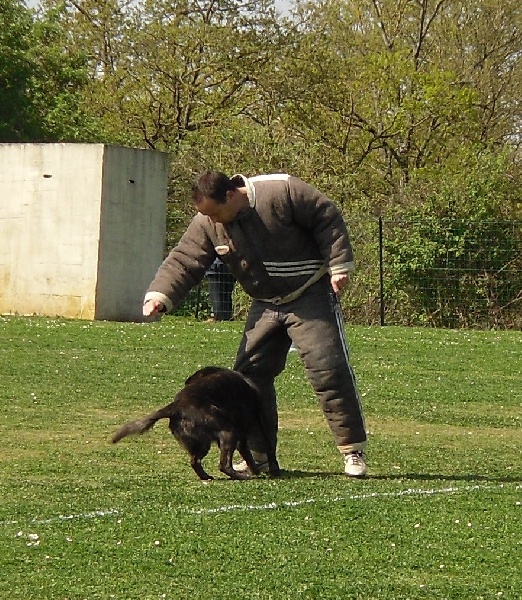 Erthon von carolus magnus - 188/200