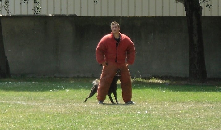 Erthon von carolus magnus - 177.950/200