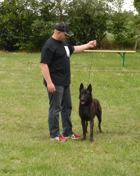 Erthon von carolus magnus - 1er excellent