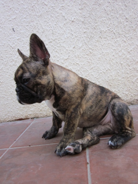 Publication : Des Collines Du Garlaban Auteur : laure sanchez