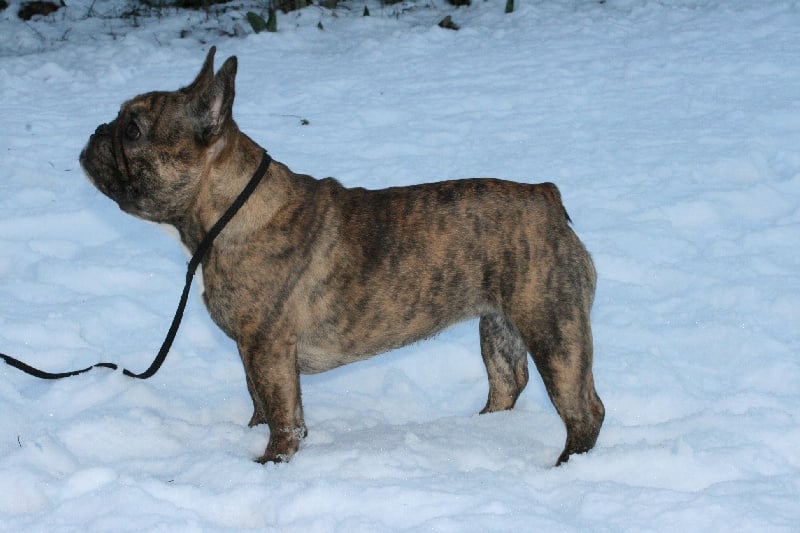 Publication : Des Collines Du Garlaban Auteur : laure sanchez
