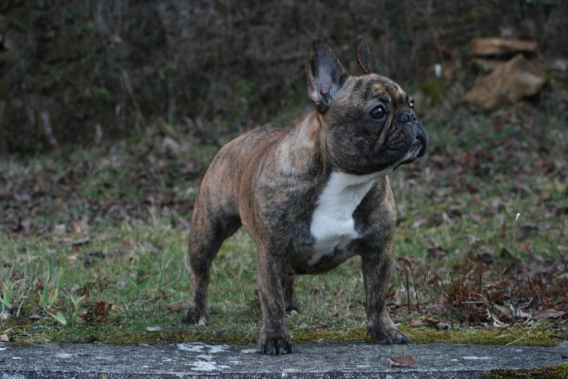 Publication : Des Collines Du Garlaban Auteur : laure sanchez