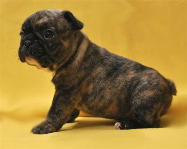 Publication : Des Collines Du Garlaban Auteur : laure sanchez