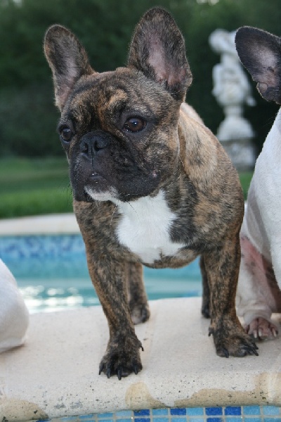 Publication : Des Collines Du Garlaban Auteur : laure sanchez