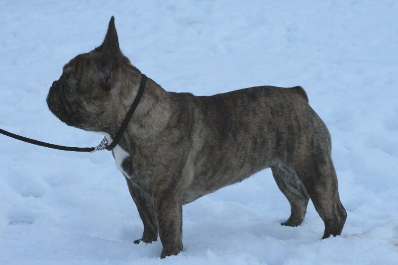 Publication : Des Collines Du Garlaban Auteur : laure sanchez