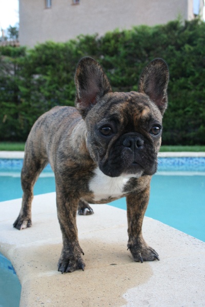 Publication : Des Collines Du Garlaban Auteur : laure sanchez