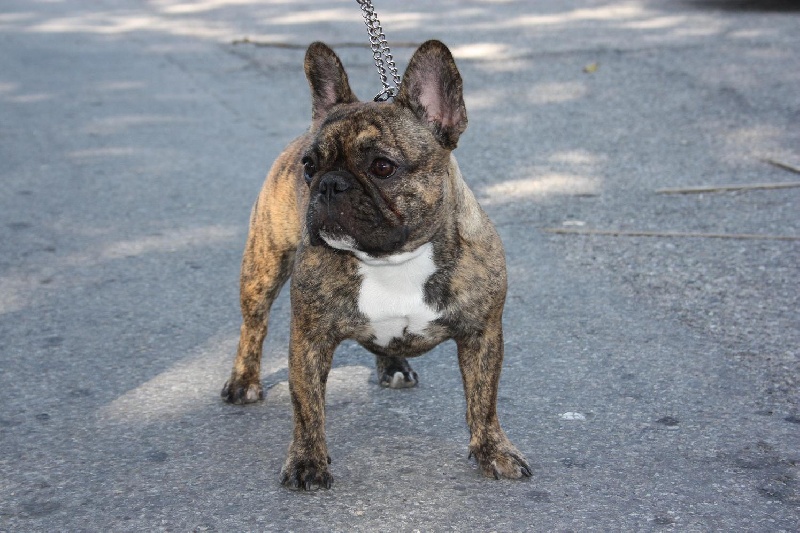 Publication : Des Collines Du Garlaban Auteur : laure sanchez