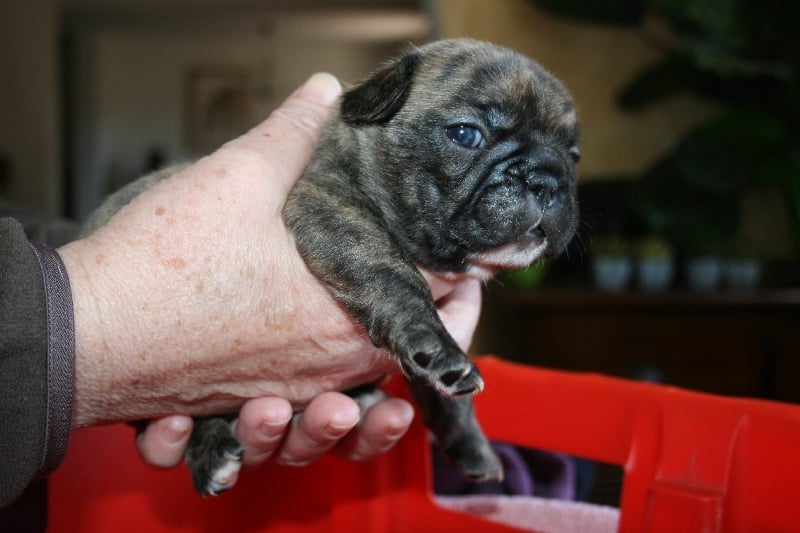 Publication : Des Collines Du Garlaban Auteur : laure sanchez