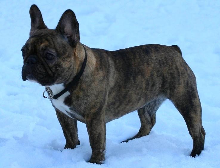 Publication : Des Collines Du Garlaban Auteur : laure sanchez