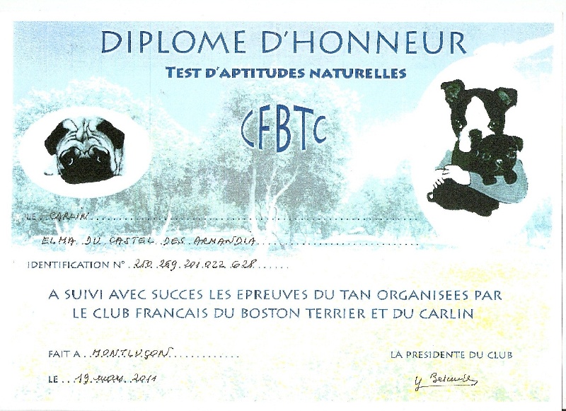 Publication : Du Clan Des Machaons Auteur : Perrine Dumont