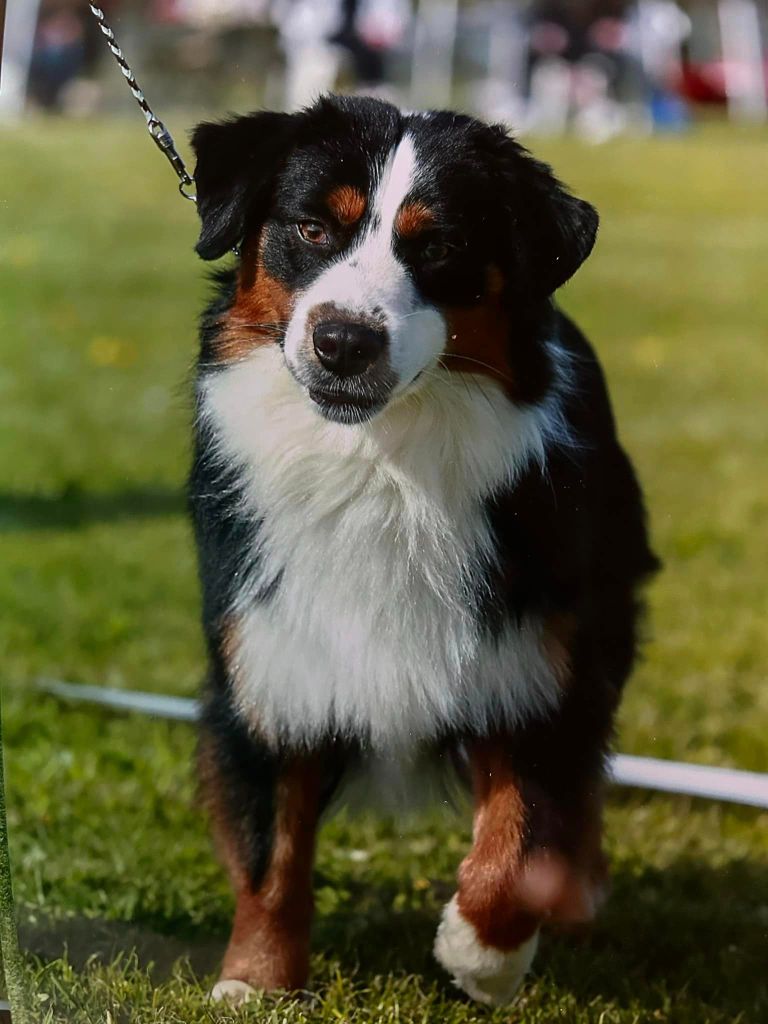 Publication : In Parigi