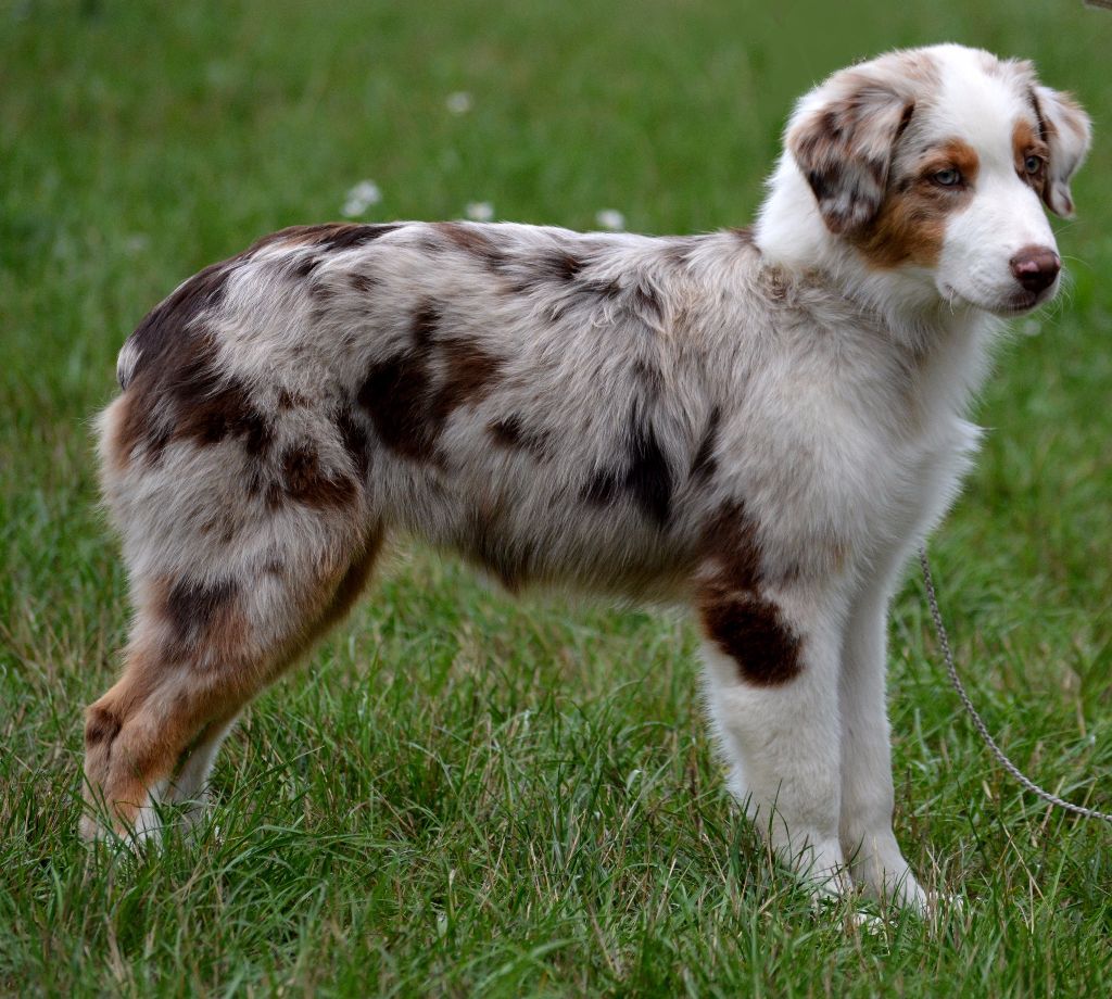 Publication : In Parigi