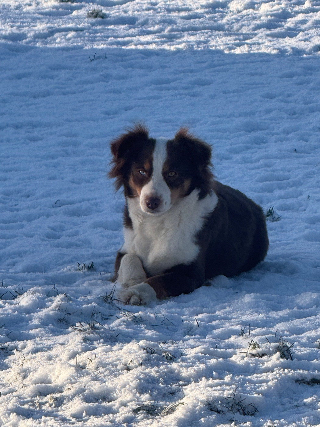 Publication : In Parigi