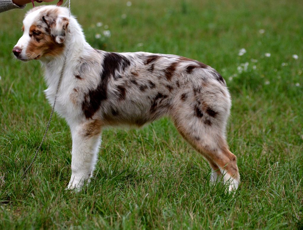 Publication : In Parigi