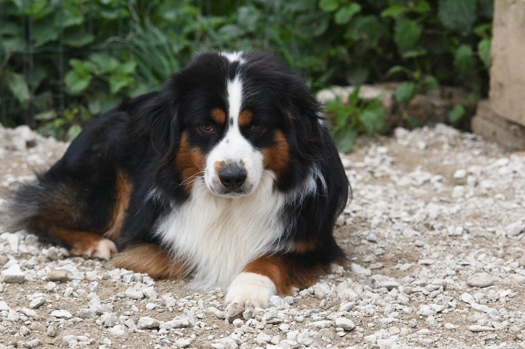 Publication : In Parigi