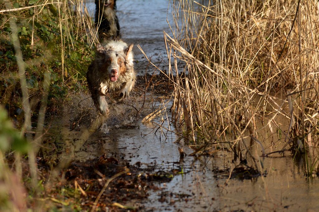 Publication : In Parigi