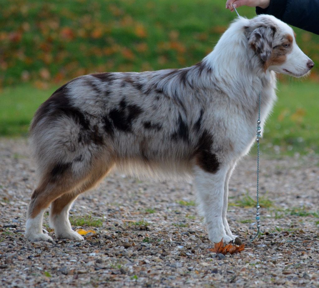 Publication : In Parigi