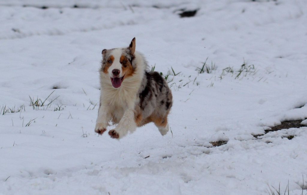 Publication : In Parigi