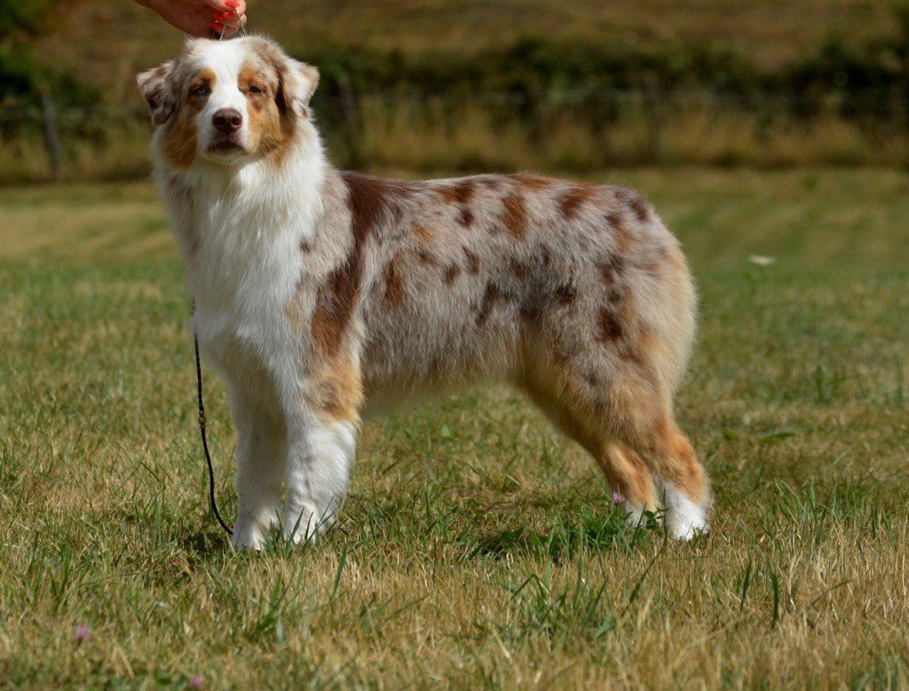 Publication : In Parigi