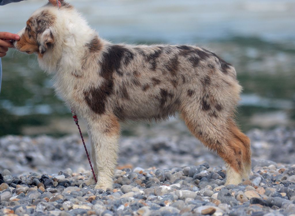 Publication : In Parigi