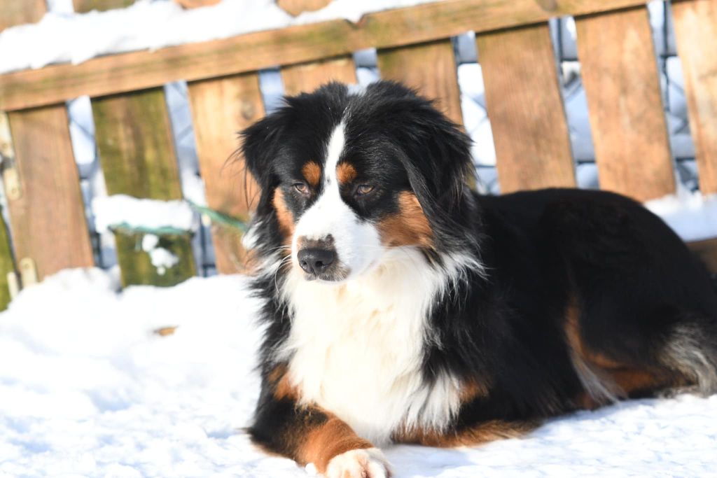 Publication : In Parigi