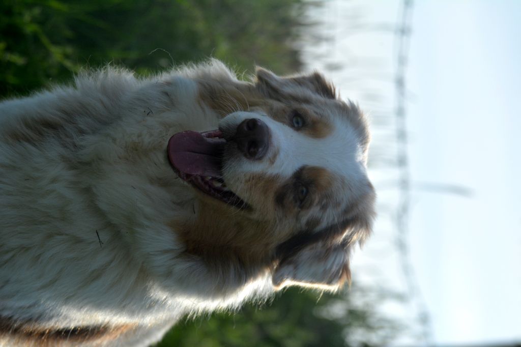 Publication : In Parigi