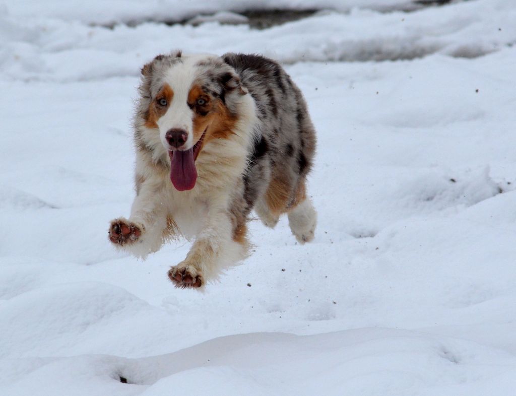 Publication : In Parigi