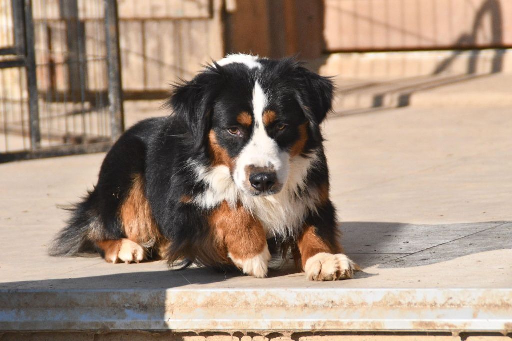 Publication : In Parigi