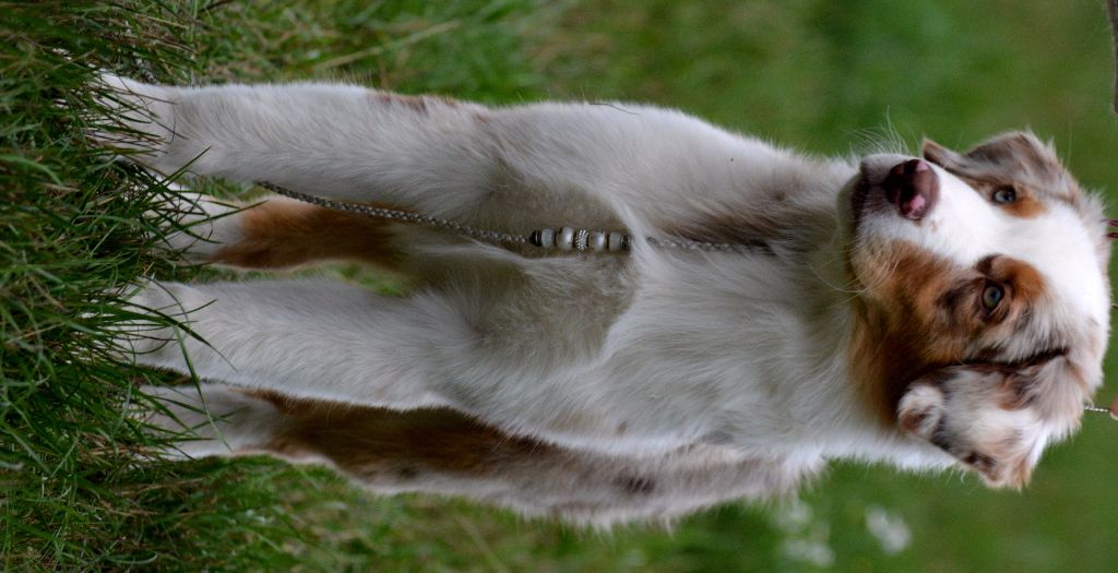 Publication : In Parigi