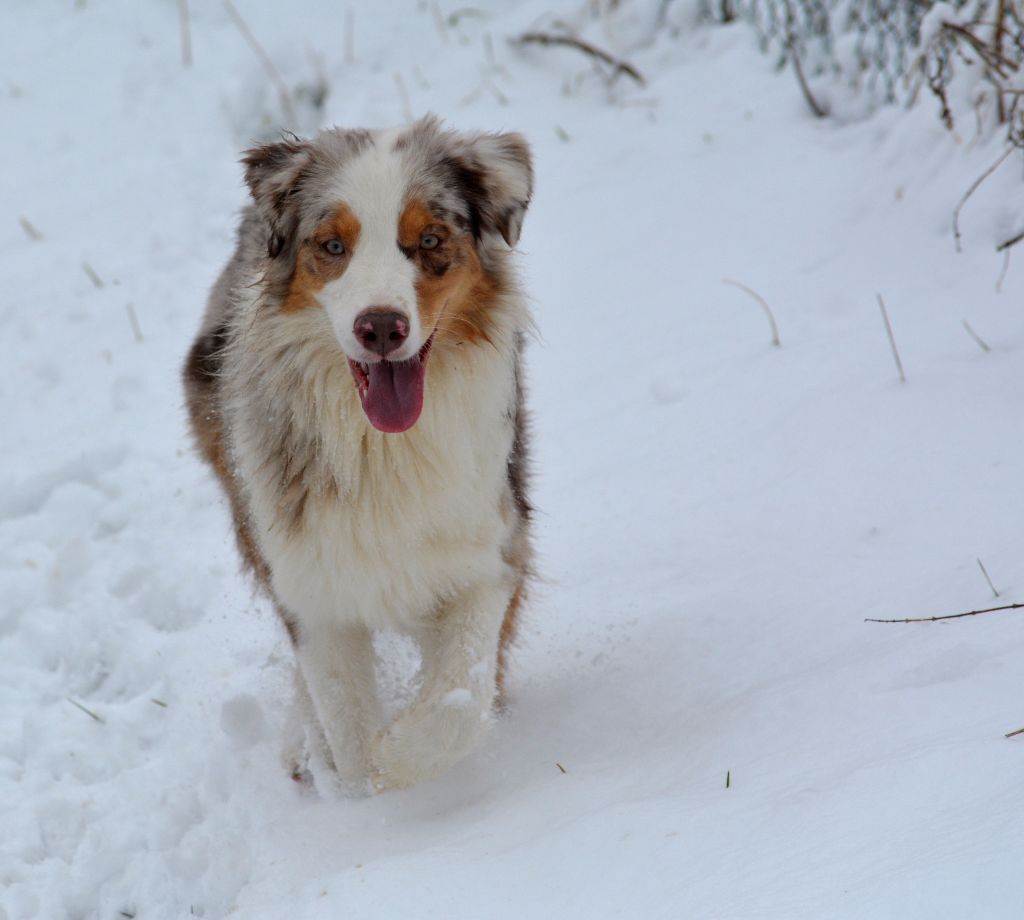 Publication : In Parigi