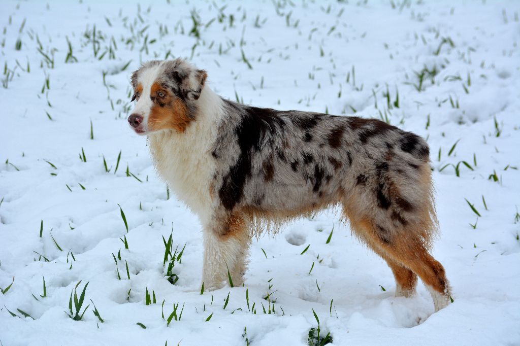 Publication : In Parigi