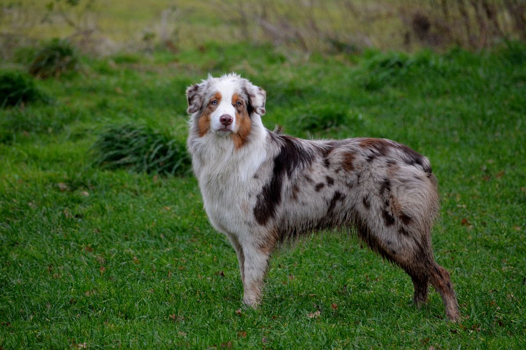 Publication : In Parigi