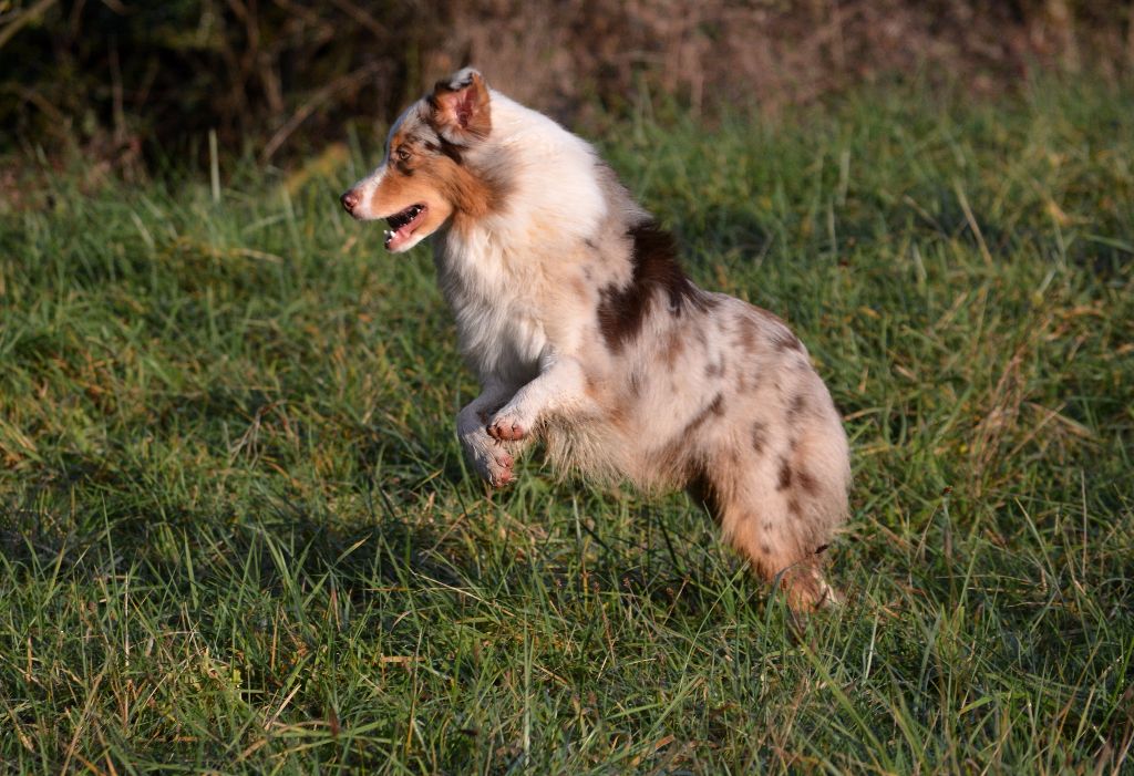 Publication : In Parigi