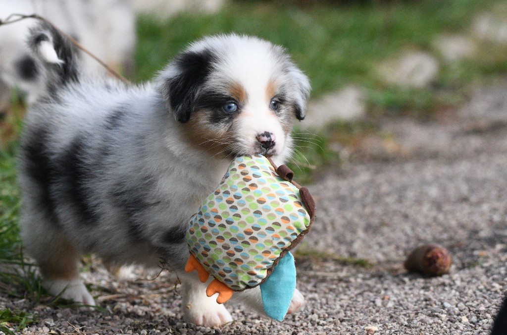 Avec la tikuna Arya in parigi