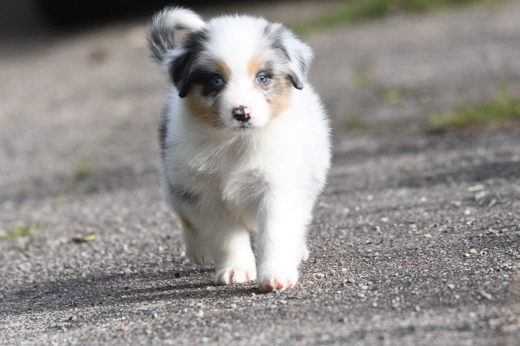 Avec la tikuna Arya in parigi