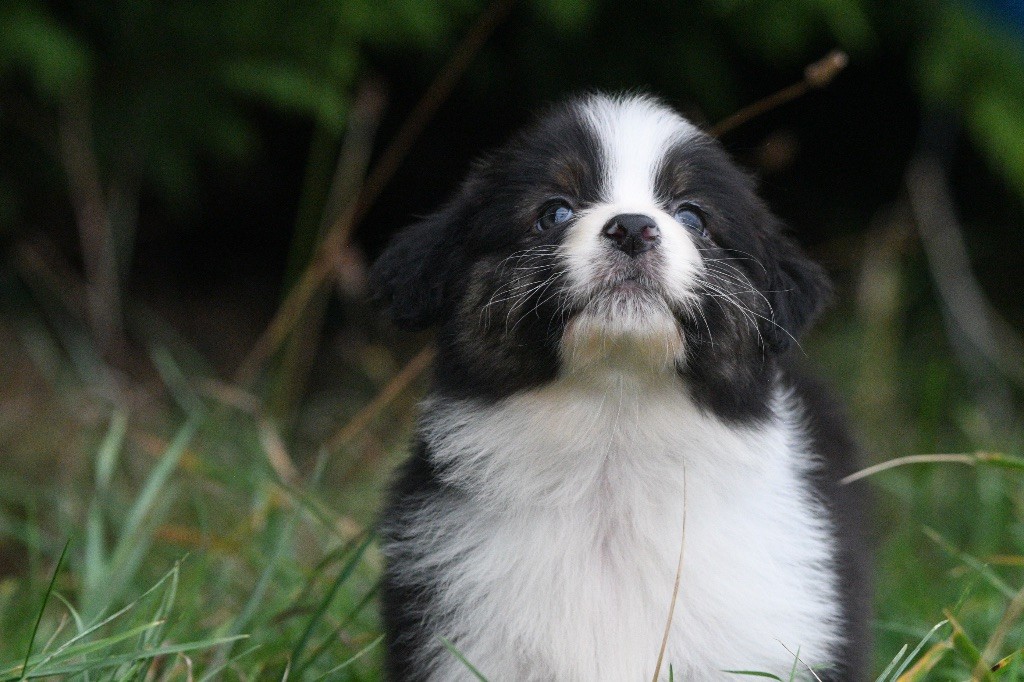 Avec la Tikuna sakira in parigi