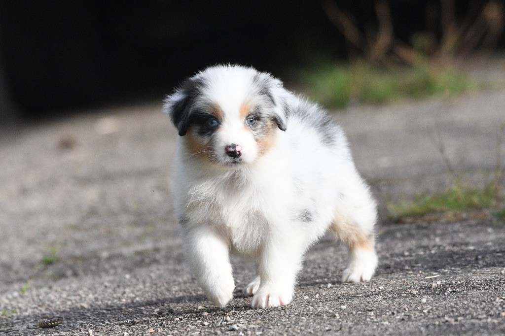 Avec la tikuna Arya in parigi