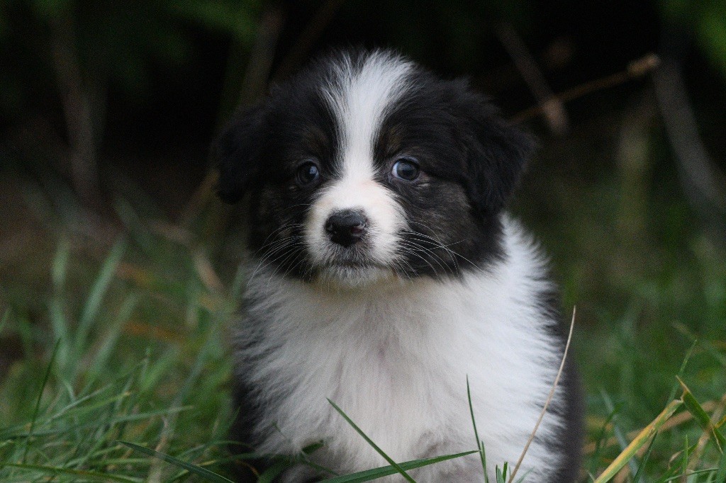 Avec la Tikuna sakira in parigi