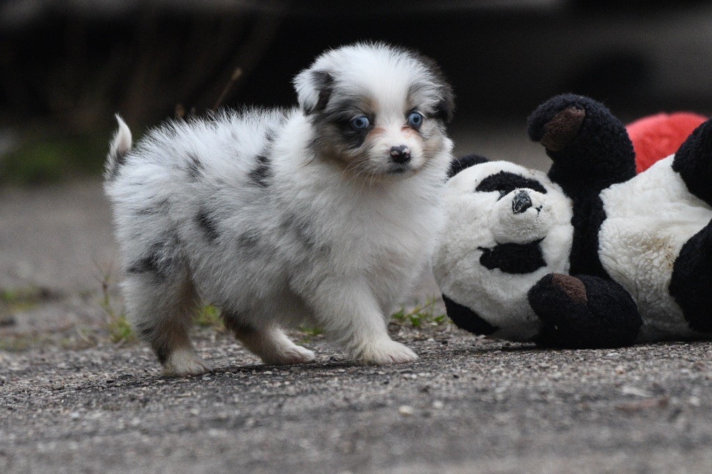 Avec la tikuna preeti