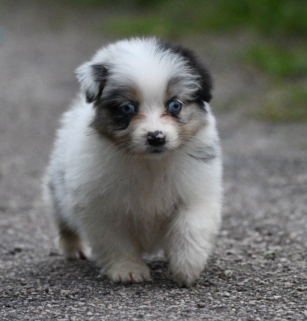 Avec la tikuna preeti