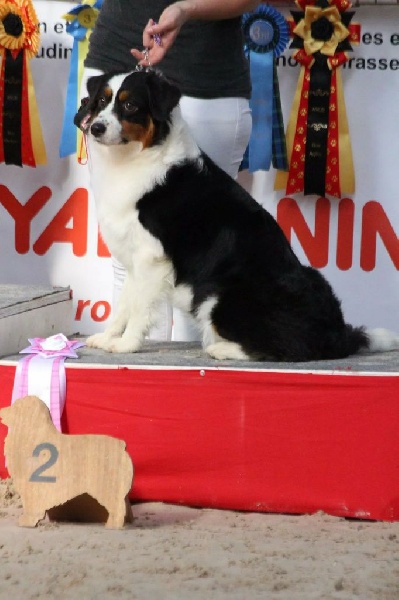 Ibiza In Parigi - 2eme excellent